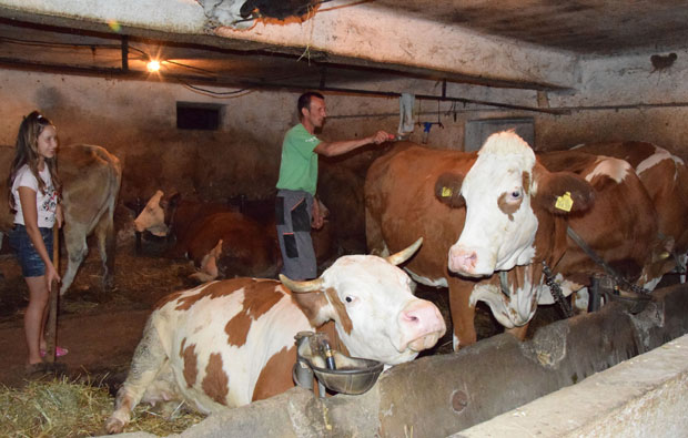 Свако грло за - медаљу